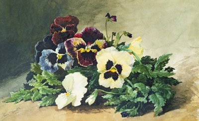 Winter Pansies, 1884 by Louis Charles Bombled